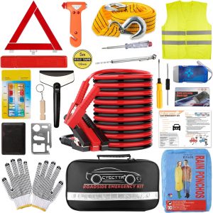 Christmas Gifts for your Car